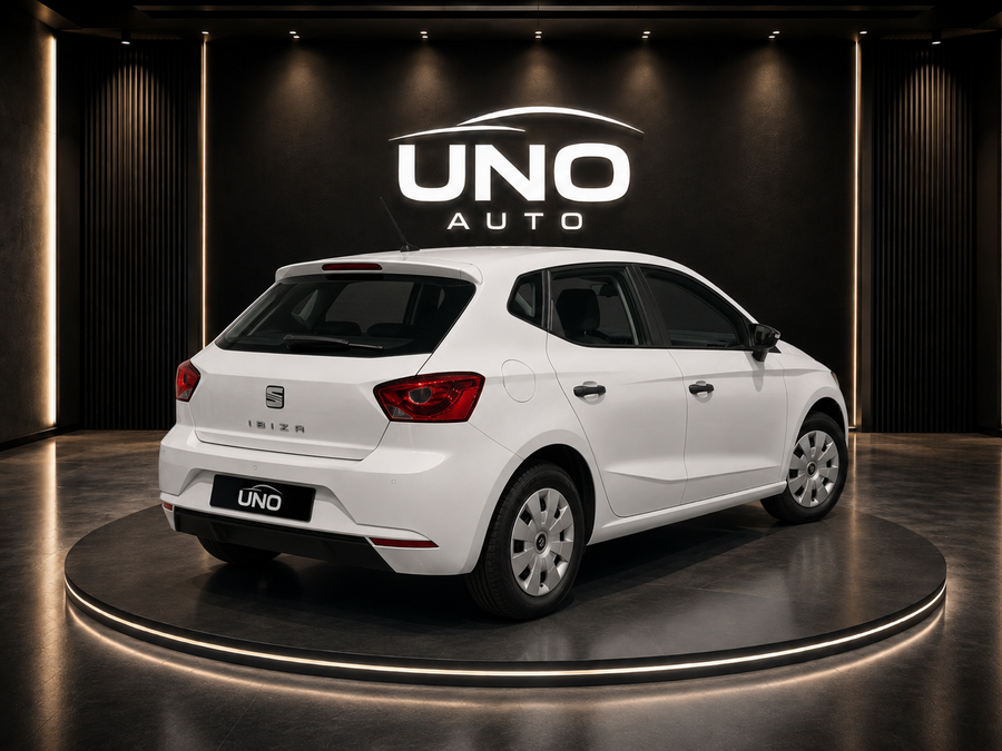 SEAT Ibiza IV 1.4 TDI - vue arrière